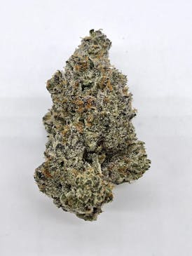 Maine Trees: Sherb Cream Pie
