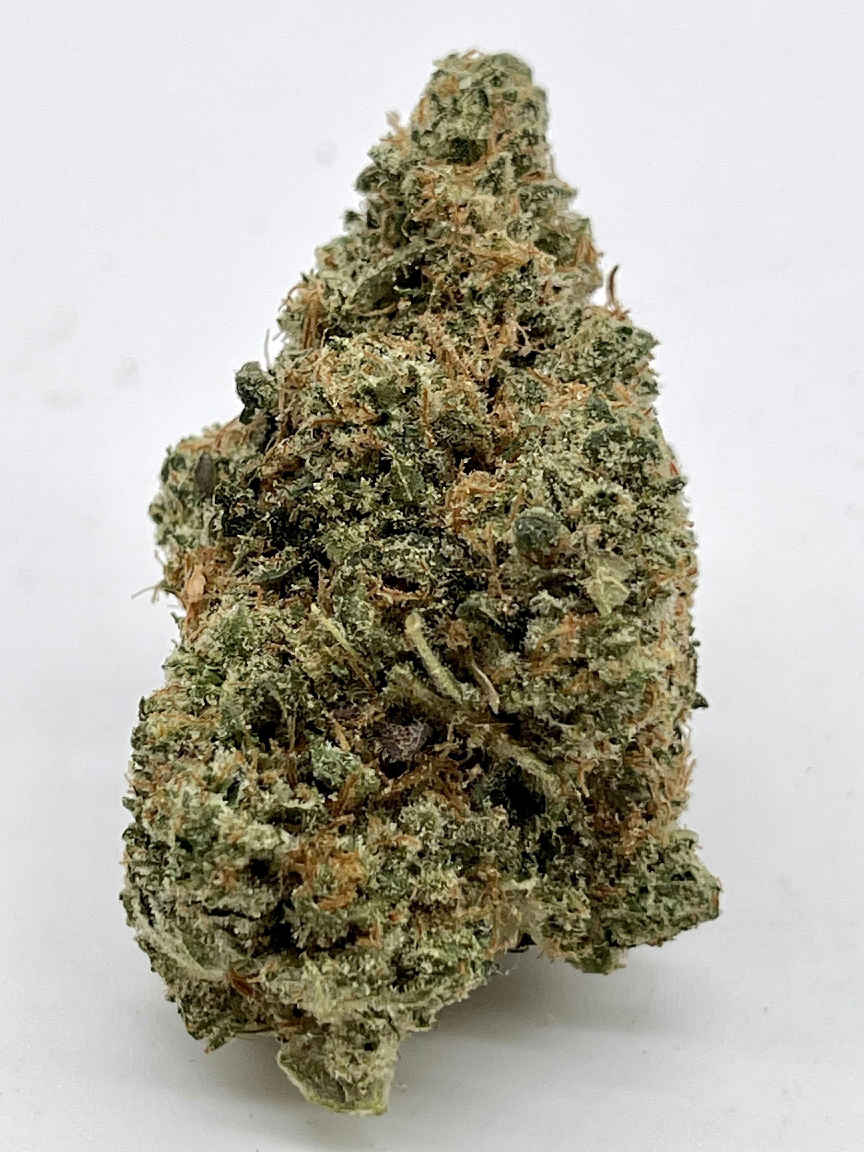 Guy: Dogwalker OG ($100 Ounces)