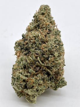 Kind Guy: Dogwalker OG ($100 Ounces)