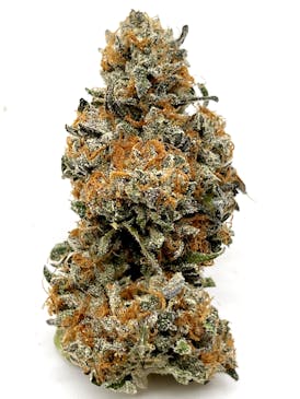 IPK: Bacio (Gelato 41)