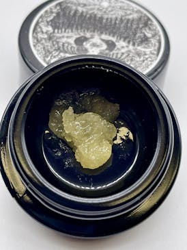 Hidden Forest: Motor Breath 15 Live Hash Rosin Jam