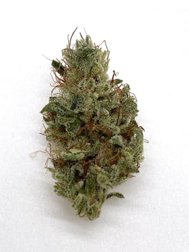 Lobster Fam Farms: Pineapple Piff