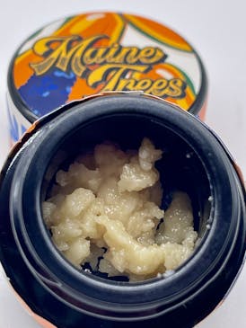 Maine Trees: Papaya Live Hash Rosin (2g)