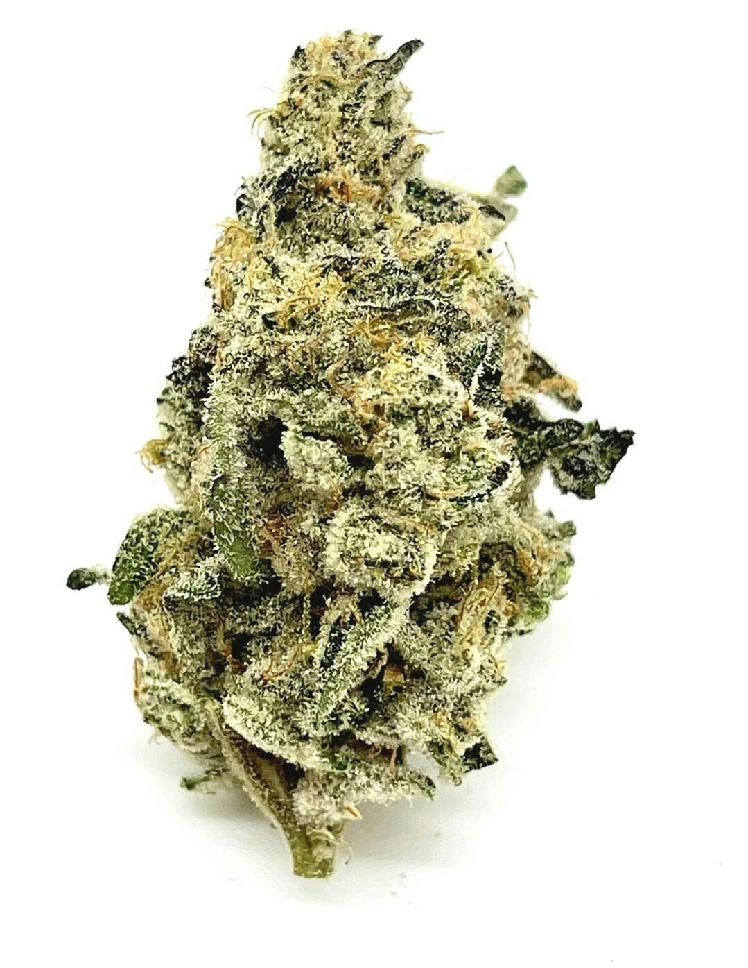 Guy Farms: Snake Eyes ($100 Ounces)