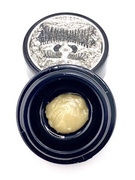 Hidden Forest: Peach Marmalade Live Hash Rosin