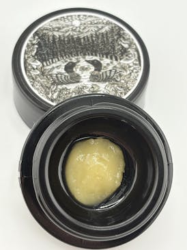 Hidden Forest: Honey Dew Live Hash Rosin