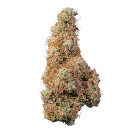 Living Matter: Grapefruit Chem