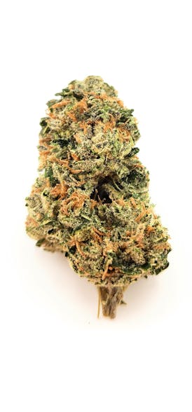 Best Friend Farms: 207 Headband