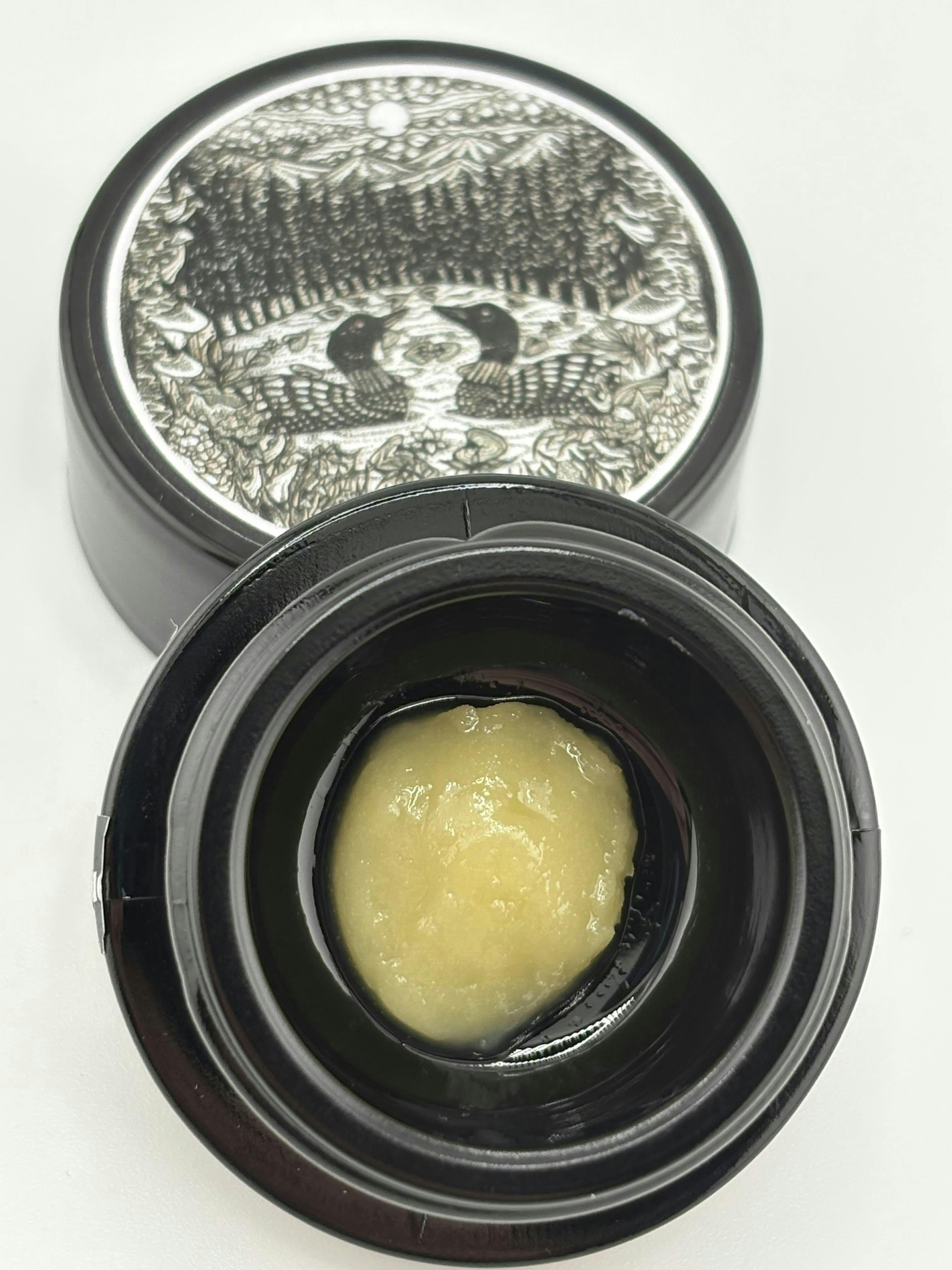 Hidden Forest: Maple Gary Live Hash Rosin