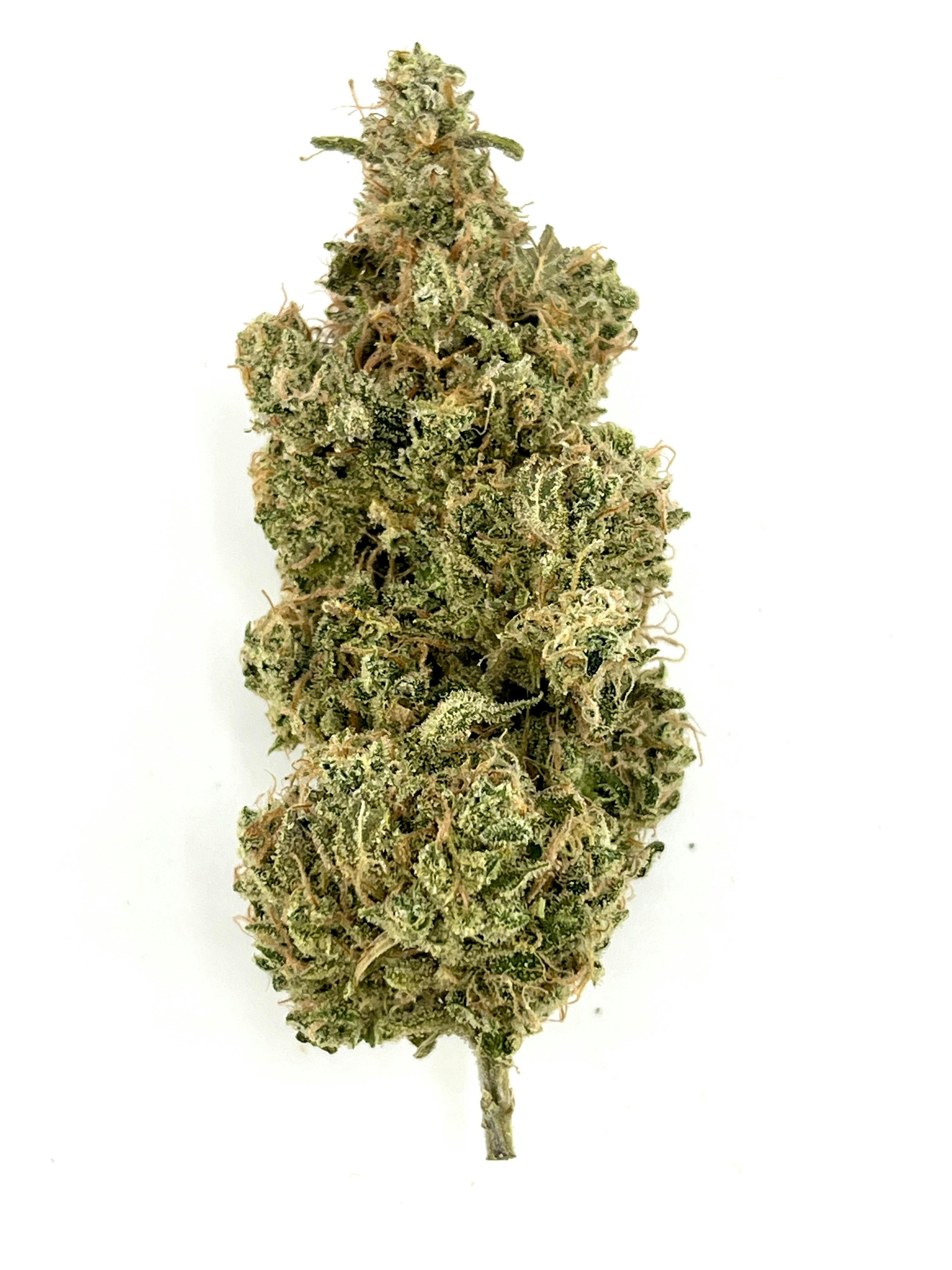 Top Shelf Maine: Mass Super Skunk
