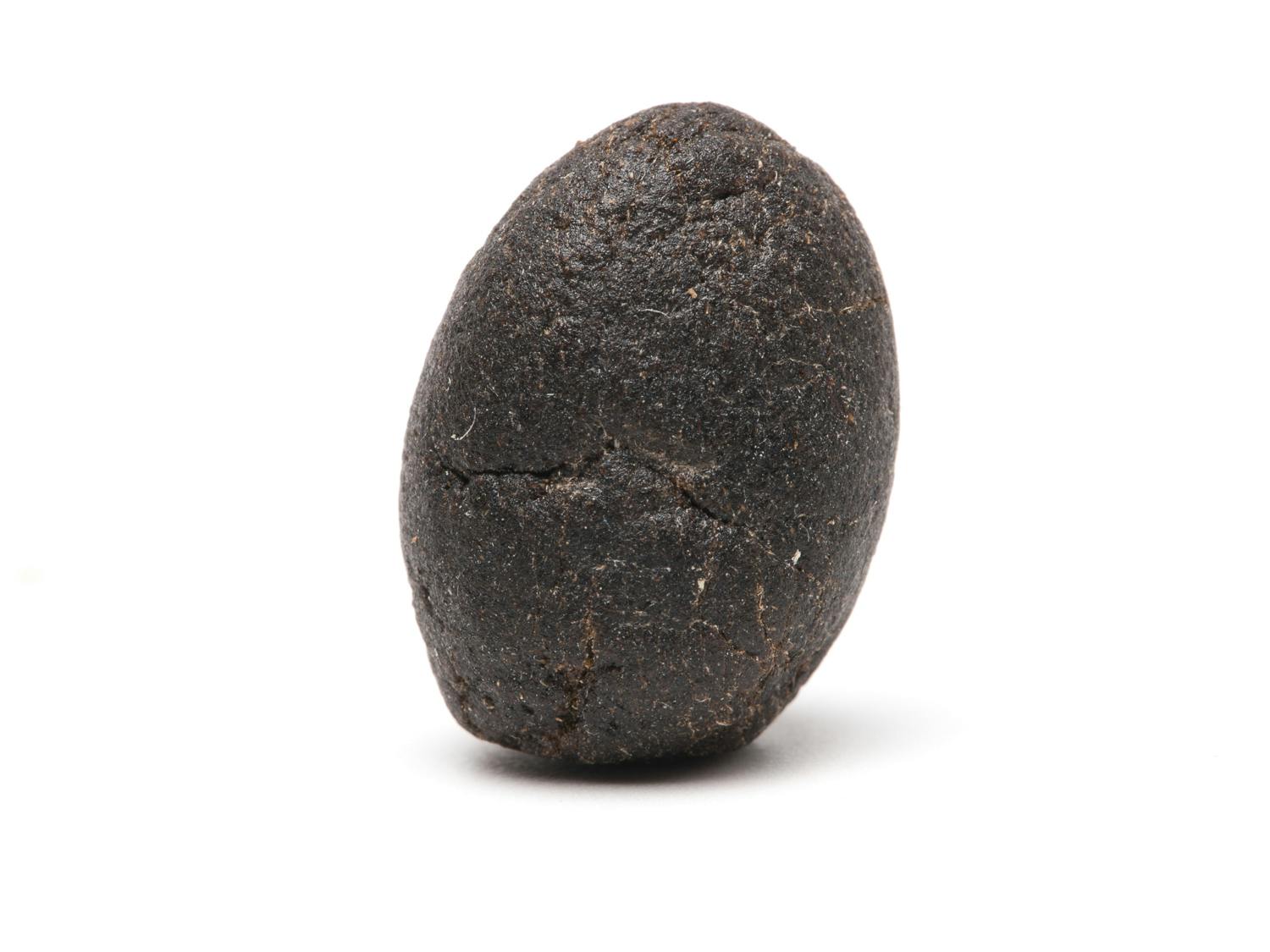 RAINBOW RUNTZ — Hashish Lux Temple Ball
