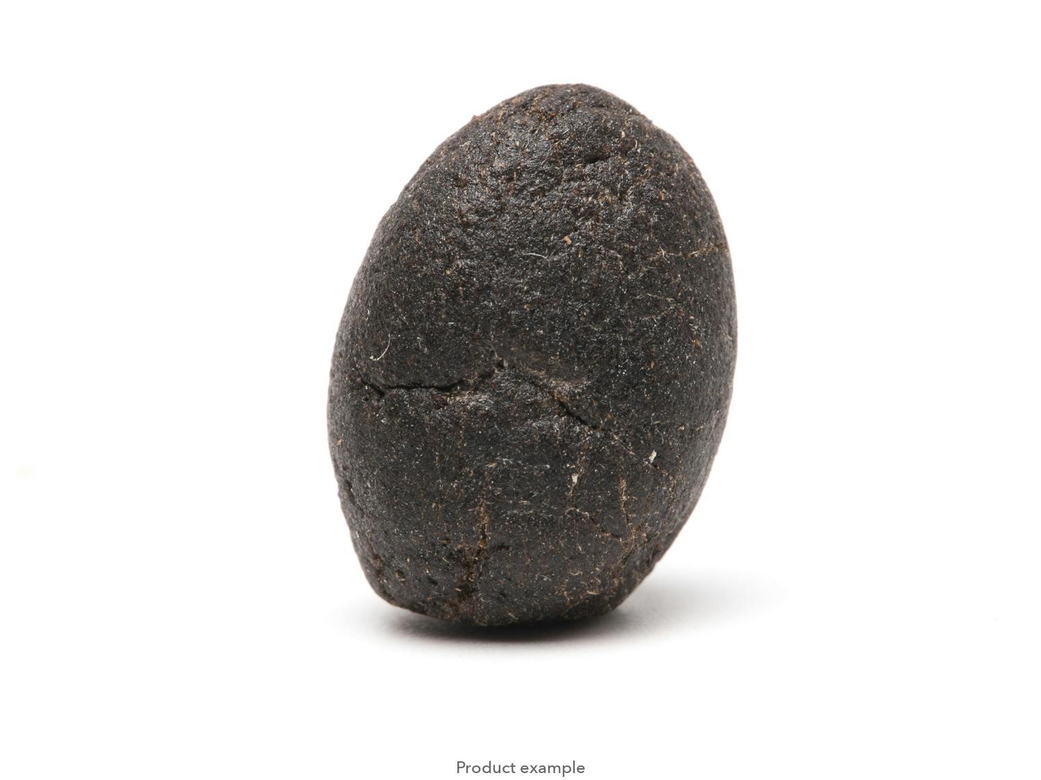 RAINBOW RUNTZ: Hashish Lux Temple Ball