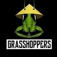 Grasshoppers Non-Infused 1g Preroll - Sativa