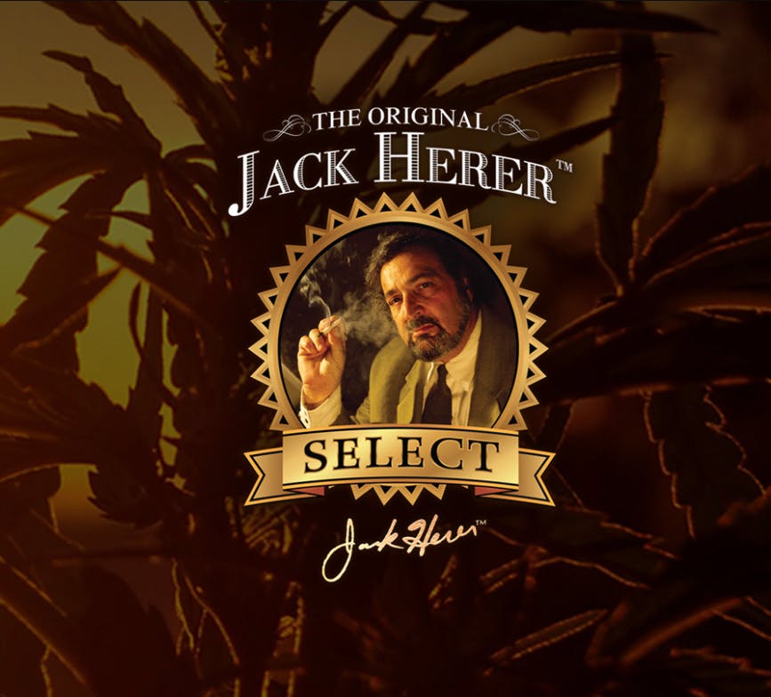 Jack Herer Select — Jack Herer