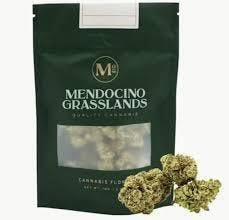 Mendocino Grasslands — Mango Haze