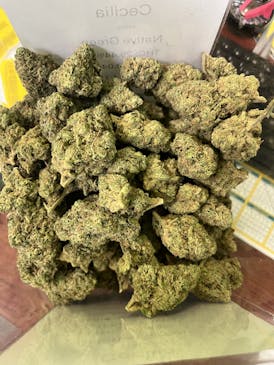 Cecilia 3.5g (Taxes Included)