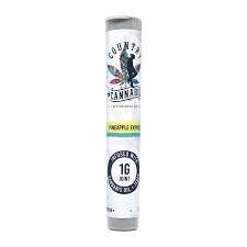 Pineapple Express | Infused Pre-Roll | 1G