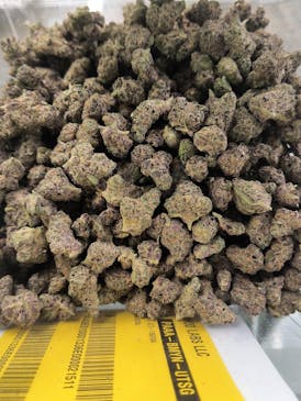 TROPIC GELATO (TAX INCLUDED)
