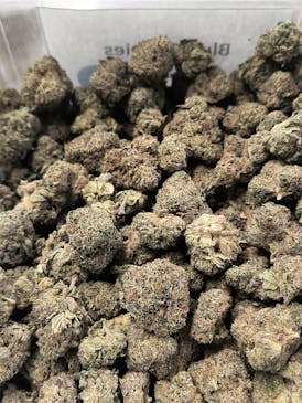 BLUE COOKIES (TAX INCLUDED)