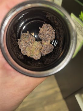 UNICORN TEARS FLOWER - 3.5G (TAX INCLUDED)