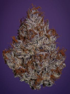 SPECIAL K(Tax Included)