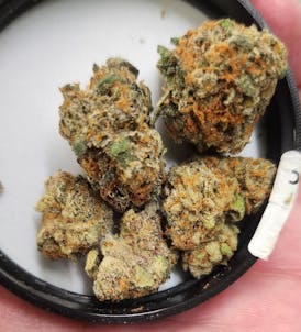 WHITE LOBSTER 3.5g (TAXES INCLUDED)