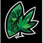 Dried Fruit 3.5G | Taxes Included