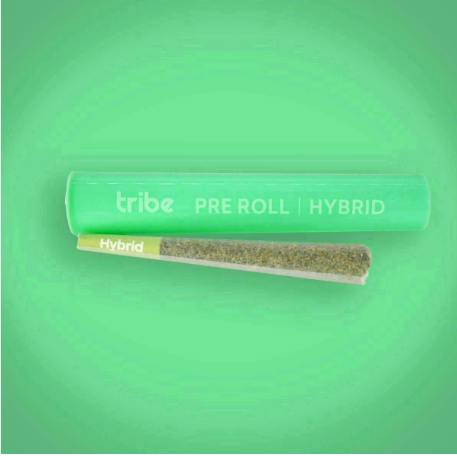 Tribe | Omni-Chron | Joint | 1g
