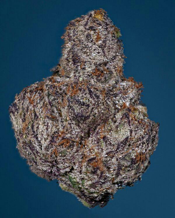 Captain Cream | 3.5G | Flower | Tax Included