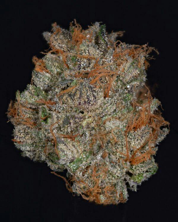 MOON PIE | 3.5G | FLOWER | TAX INCLUDED