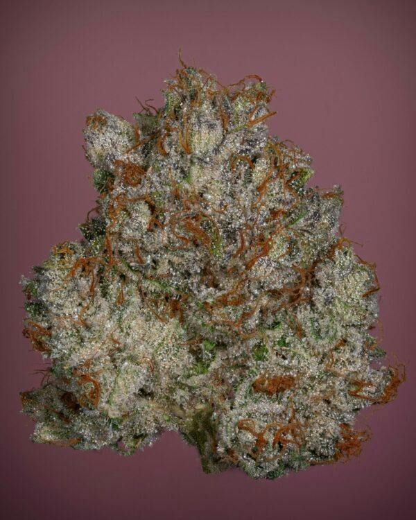 TITTY TWISTER | 3.5G | FLOWER | TAX INCLUDED