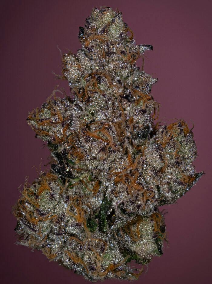 SLEEPY JOE EXOTIC | 3.5G | FLOWER | TAX INCLUDED