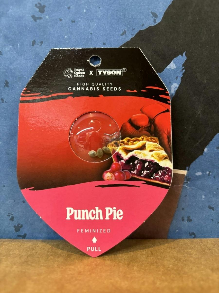 Punch Pie | Feminized Seeds | 3 Pack at Houston Grass Station