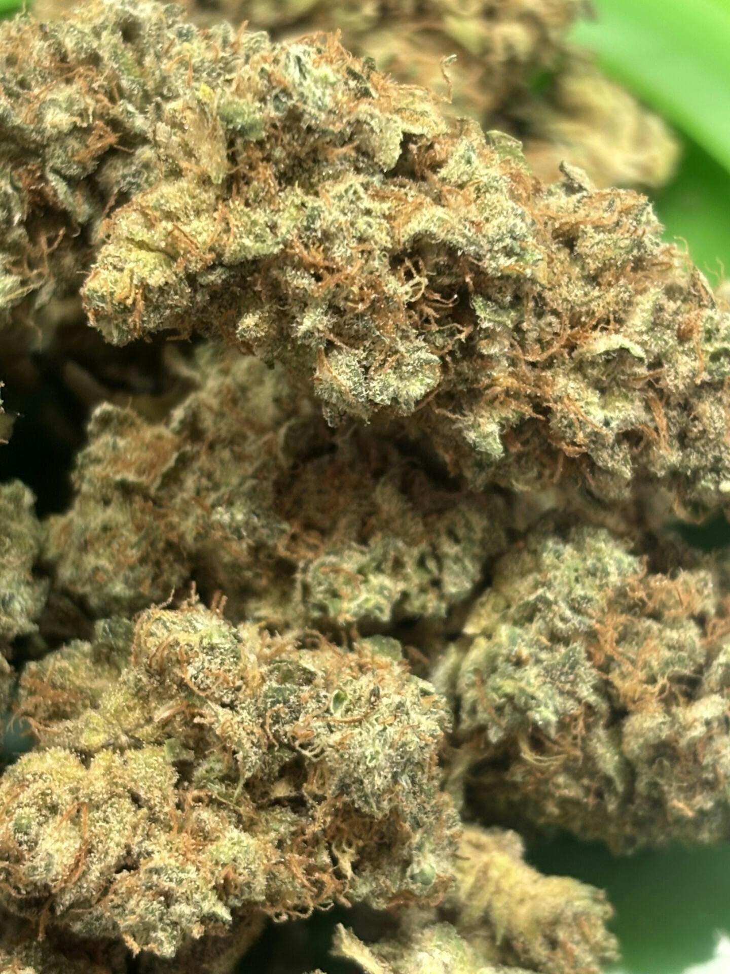 Blueberry Cupcakes | Minis | 0.5g | 6pk at Houston Grass Station