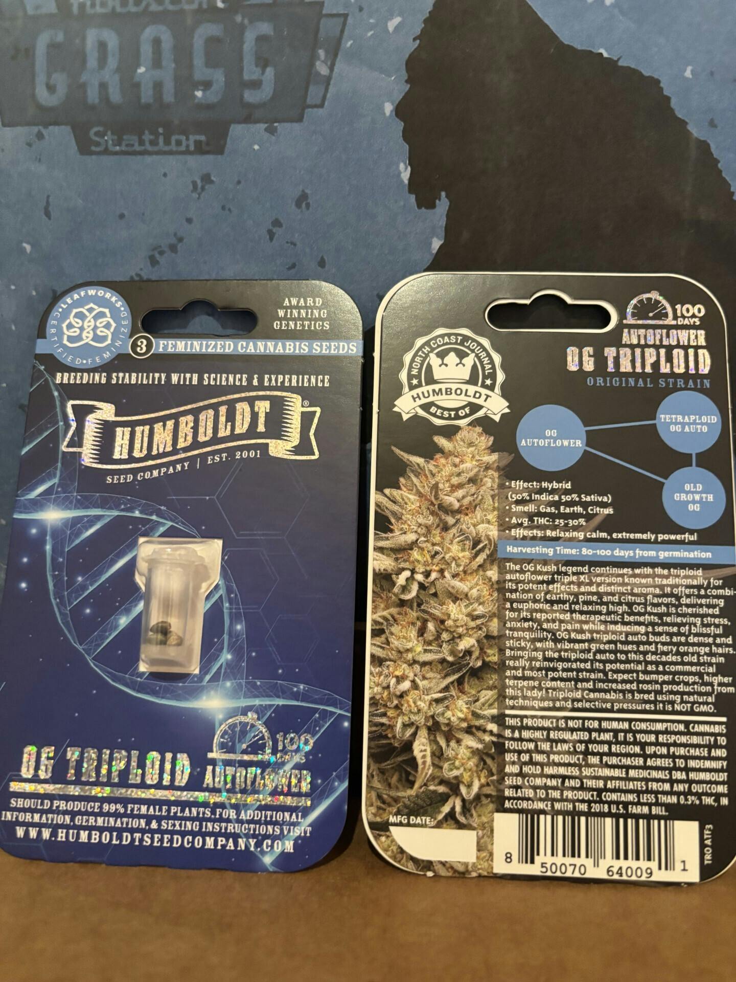 Humboldt Seed Company | OG Triploid | Autoflower Seeds at Houston Grass Station