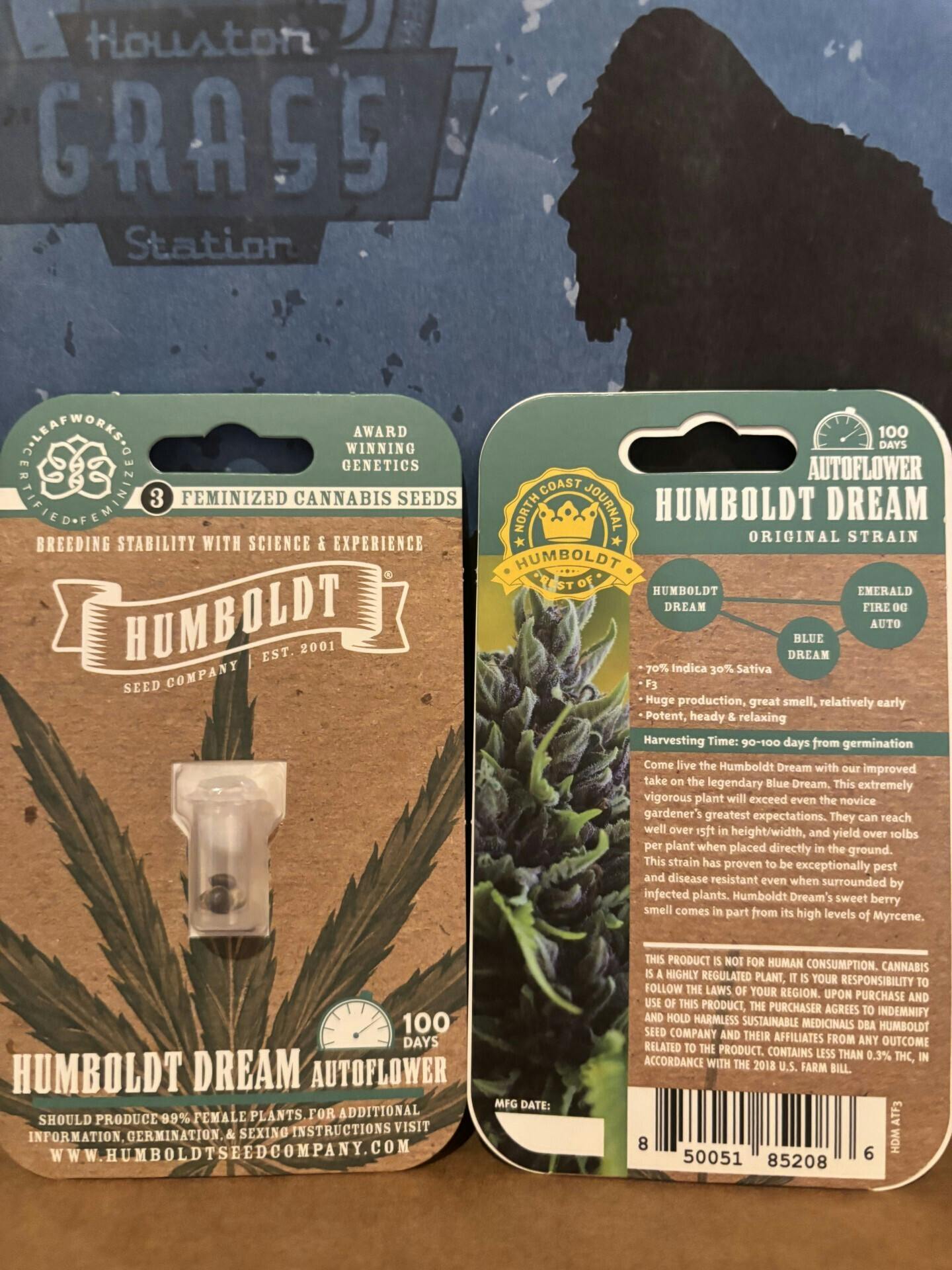 Humboldt Dream Seeds at Houston Grass Station