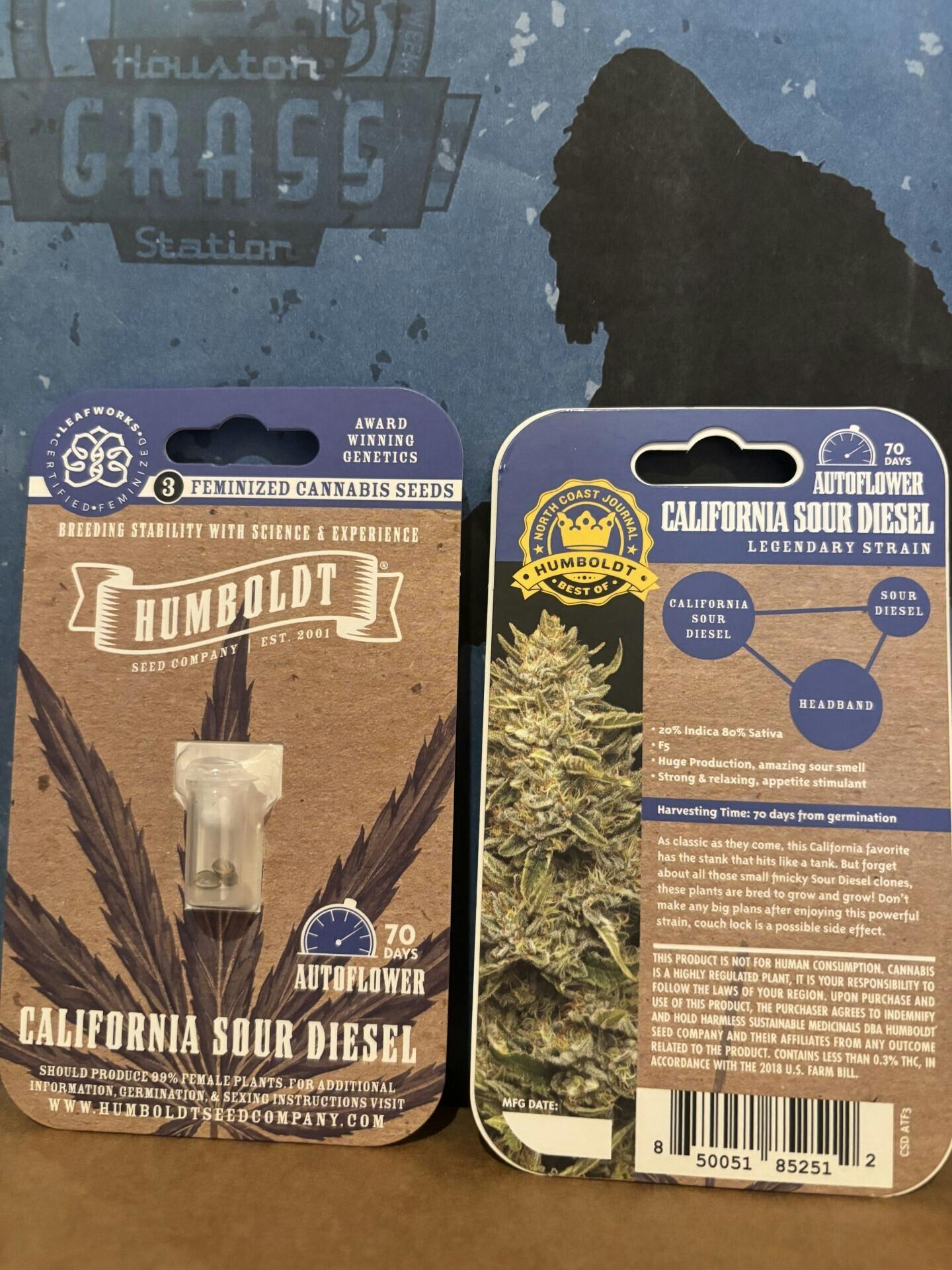 Humboldt Seed Company | California Sour Diesel | Autoflower Seeds at Houston Grass Station