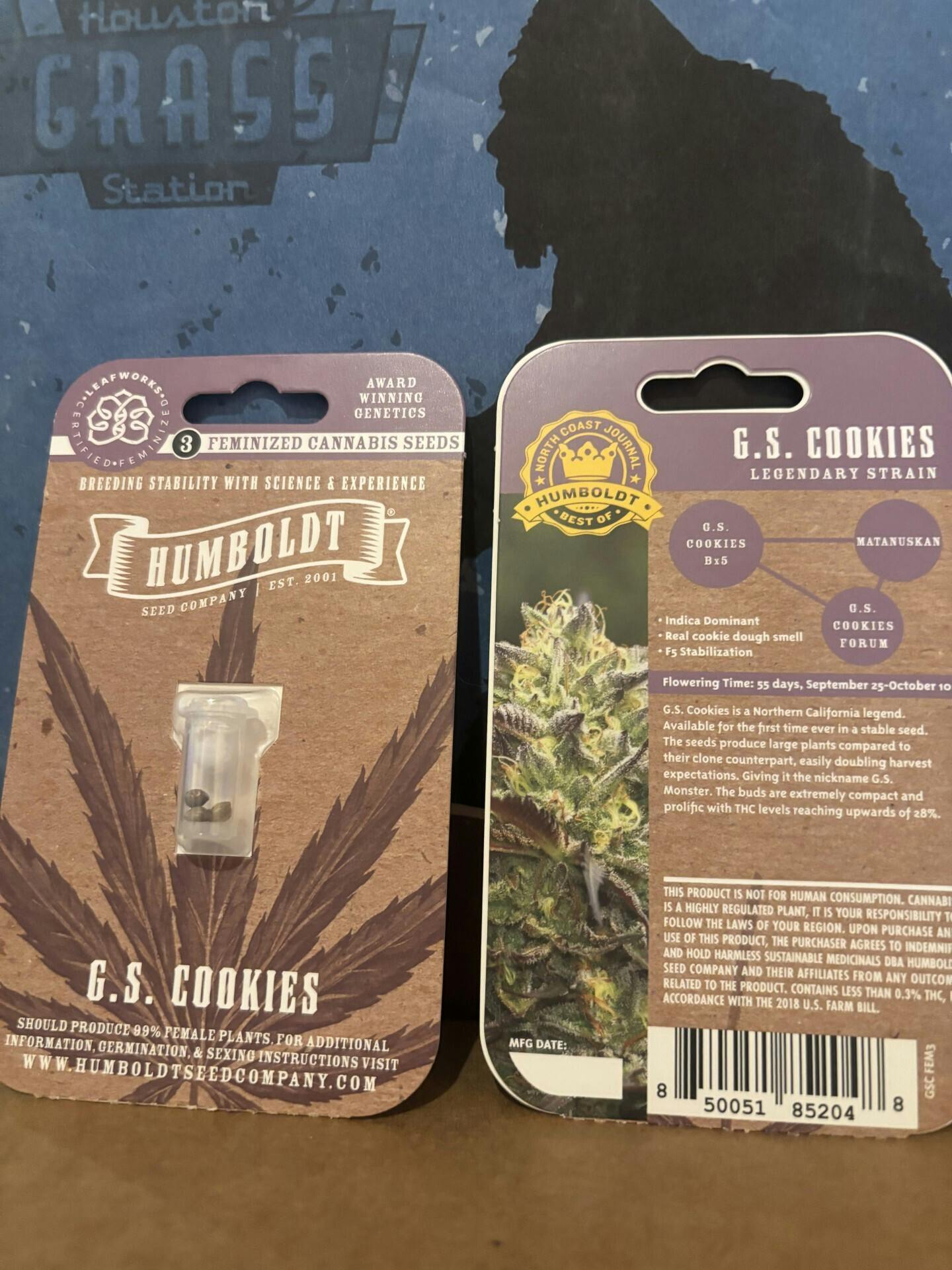Humboldt Seed Company | G.S. Cookies | Feminized Seeds at Houston Grass Station
