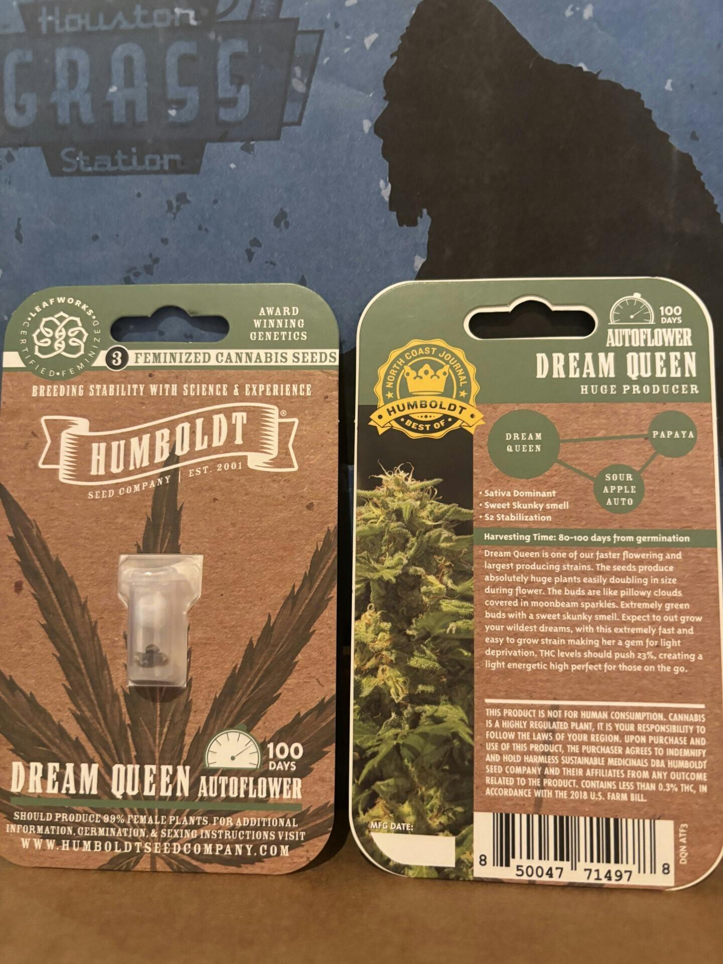 Humboldt Seed Company | Dream Queen | Autoflower Seeds at Houston Grass Station