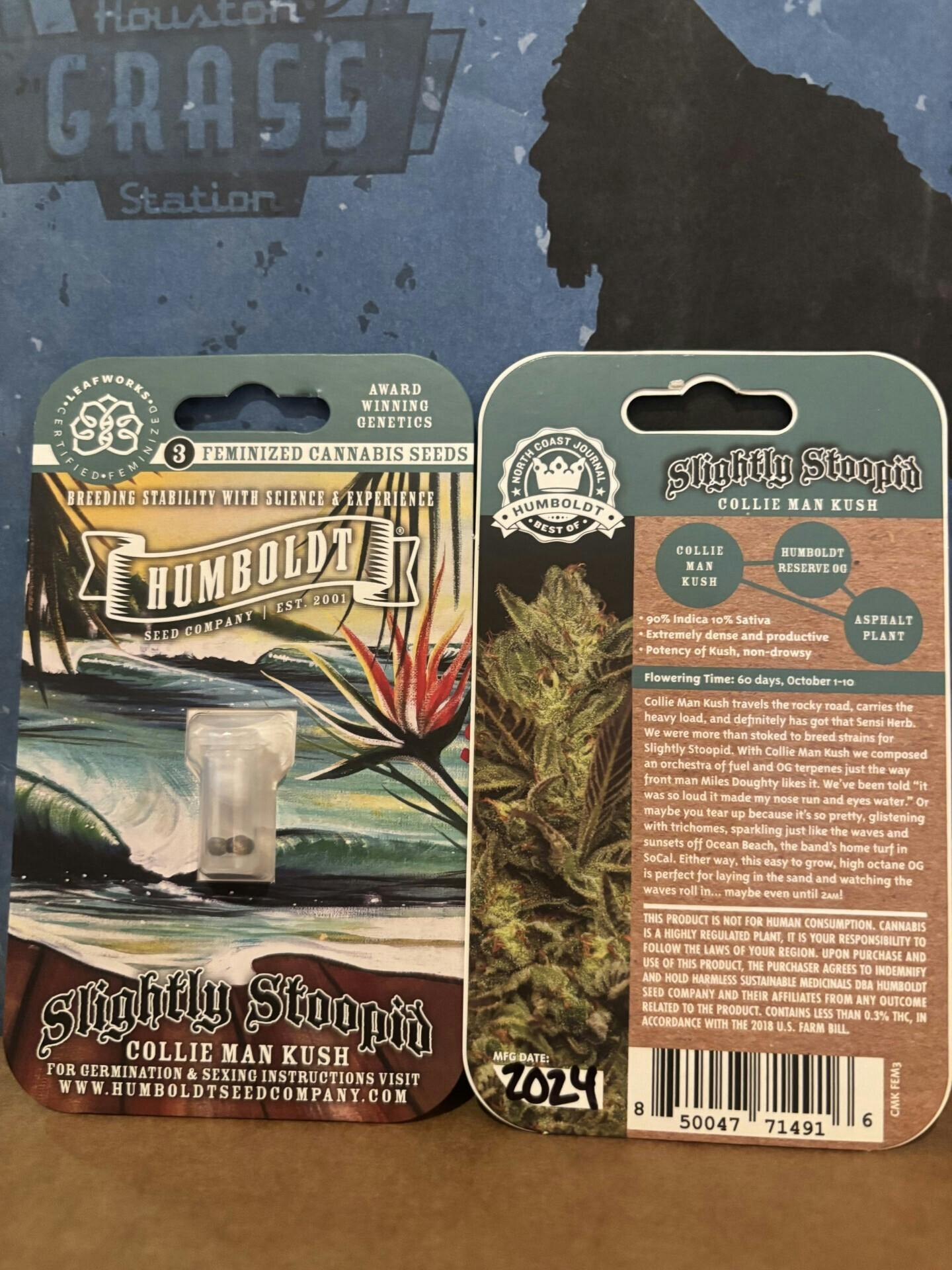 Humboldt Seed Company | Collie Man | Feminized Seeds at Houston Grass Station