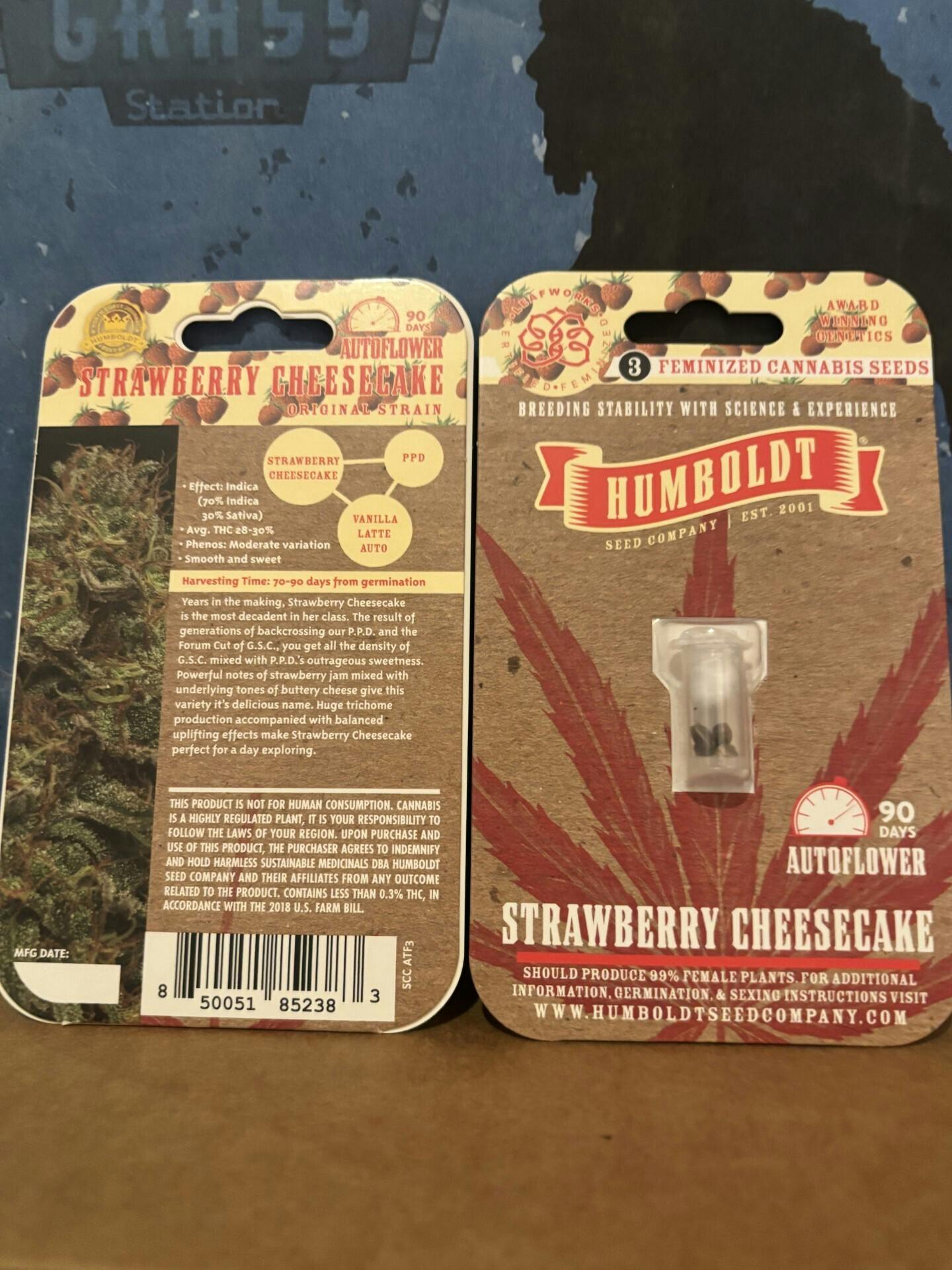 Humboldt Seed Company | Strawberry Cheesecake | Autoflower Seeds at Houston Grass Station