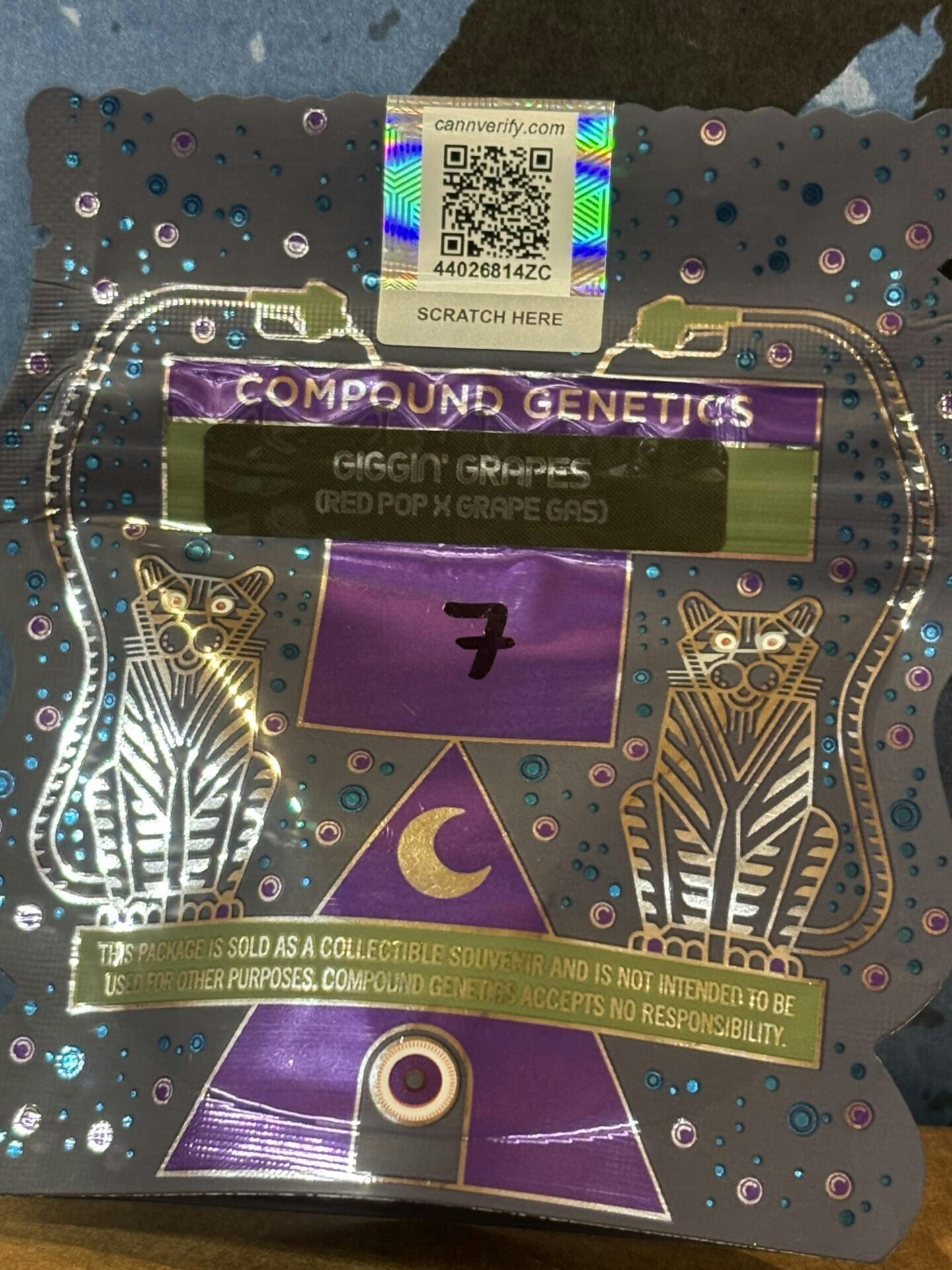Seeds - Gigglin' Grapes 7pk | Seeds at Houston Grass Station