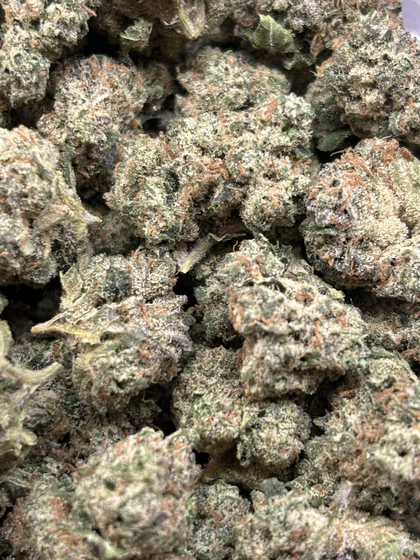 Black Cherry Gelato at Houston Grass Station