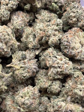 Black Cherry Gelato