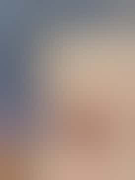 Arctic Bakery - Raspberry Dark Chocolate 10PK