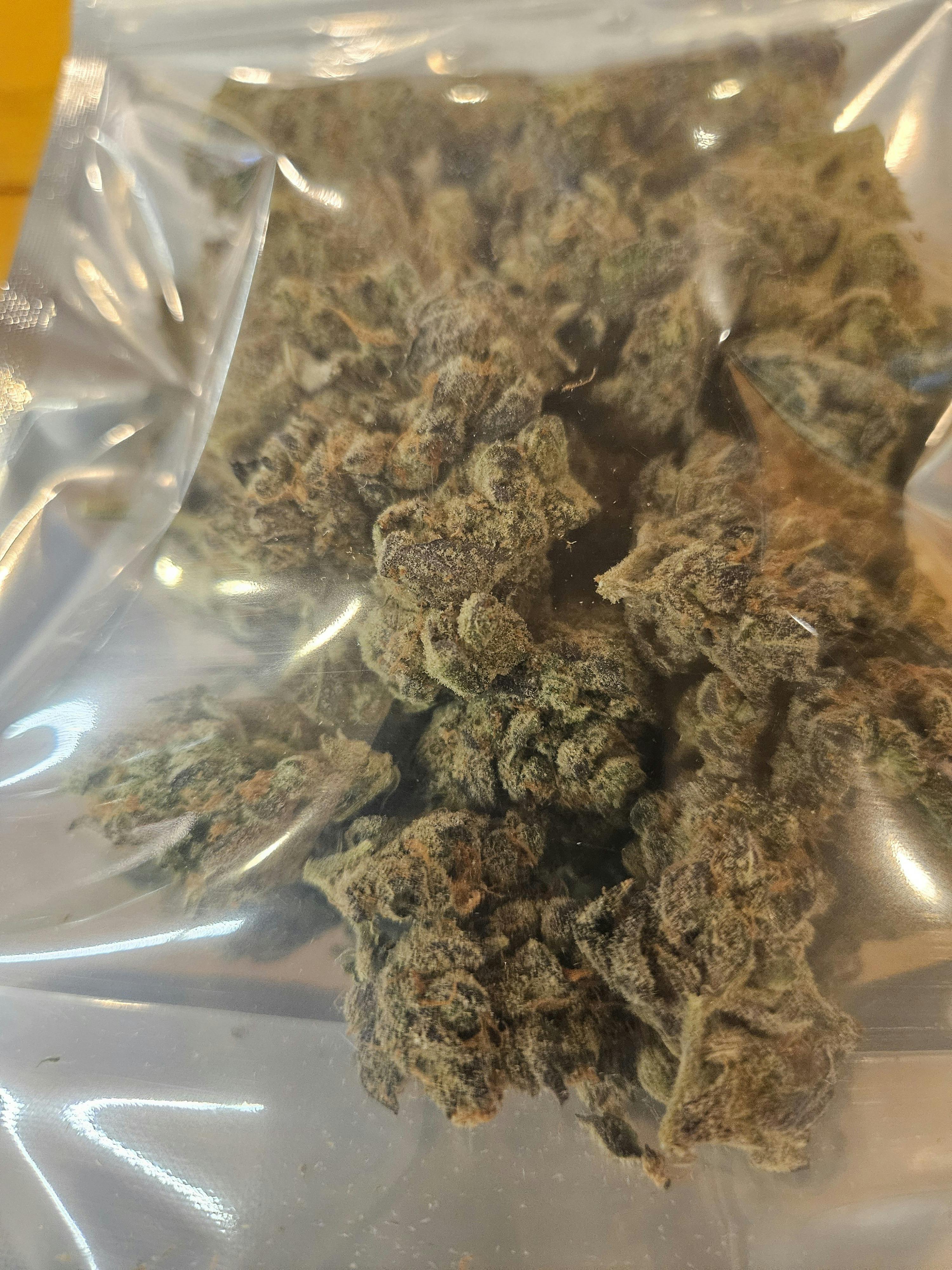grape stank at Houston Grass Station