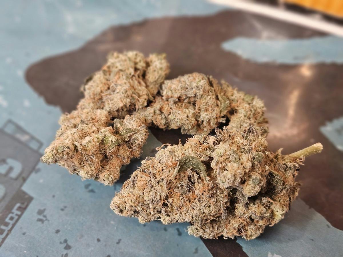 Gush Mintz | 0.5g