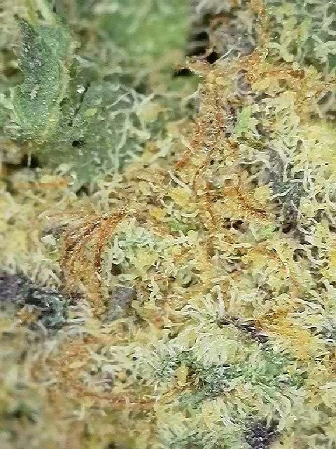 banana cream cake