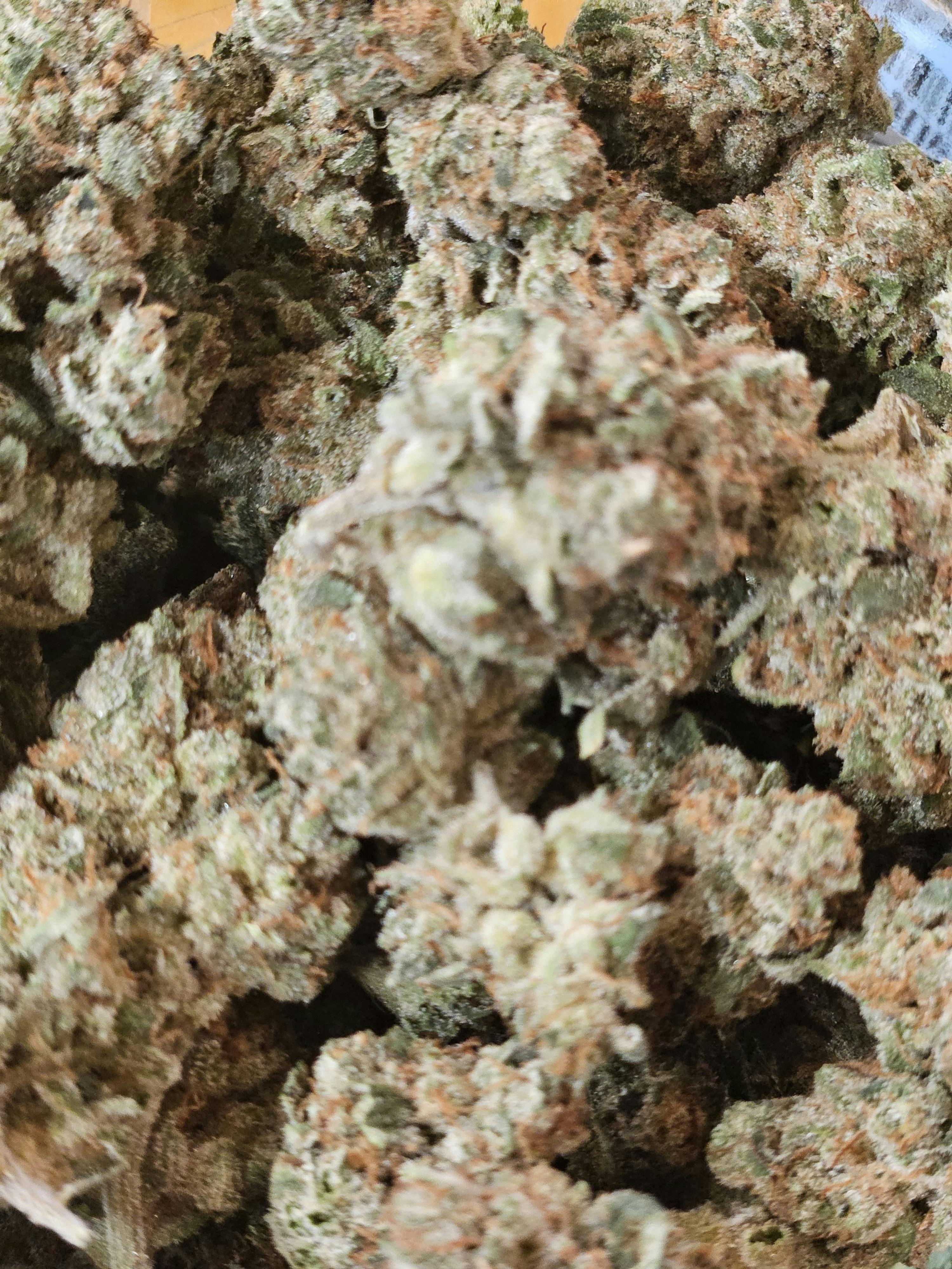 Jack Herer Flower