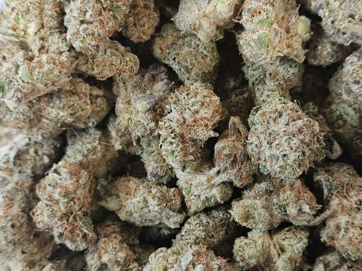 Lemon Oreoz